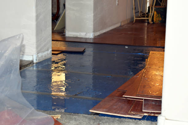 Professional Burst Pipe Cleanup technician working in Rosser, TX